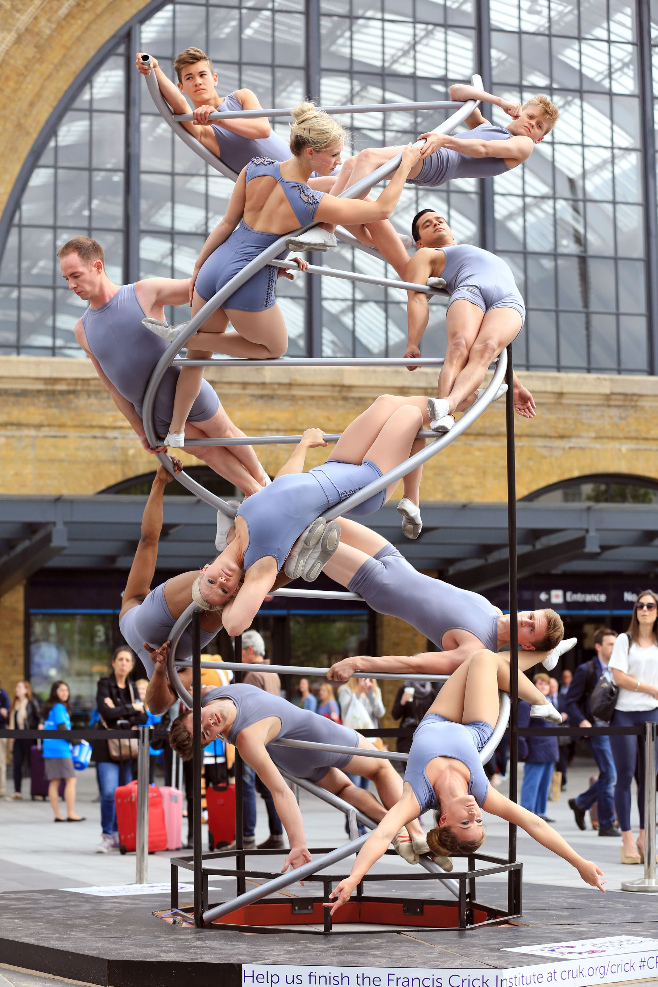 Cancer Research acrobats